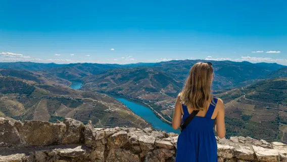 Douro Valley: Day Trip + River Cruise & Lunch from Porto