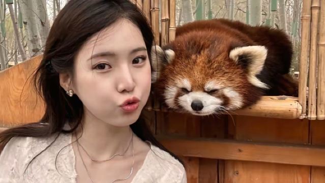 Dujiangyan + Lembah Panda + Air Mata Biru [Lawatan Sehari Santai] [Pakej Persendirian Keluarga 2-8 Orang]