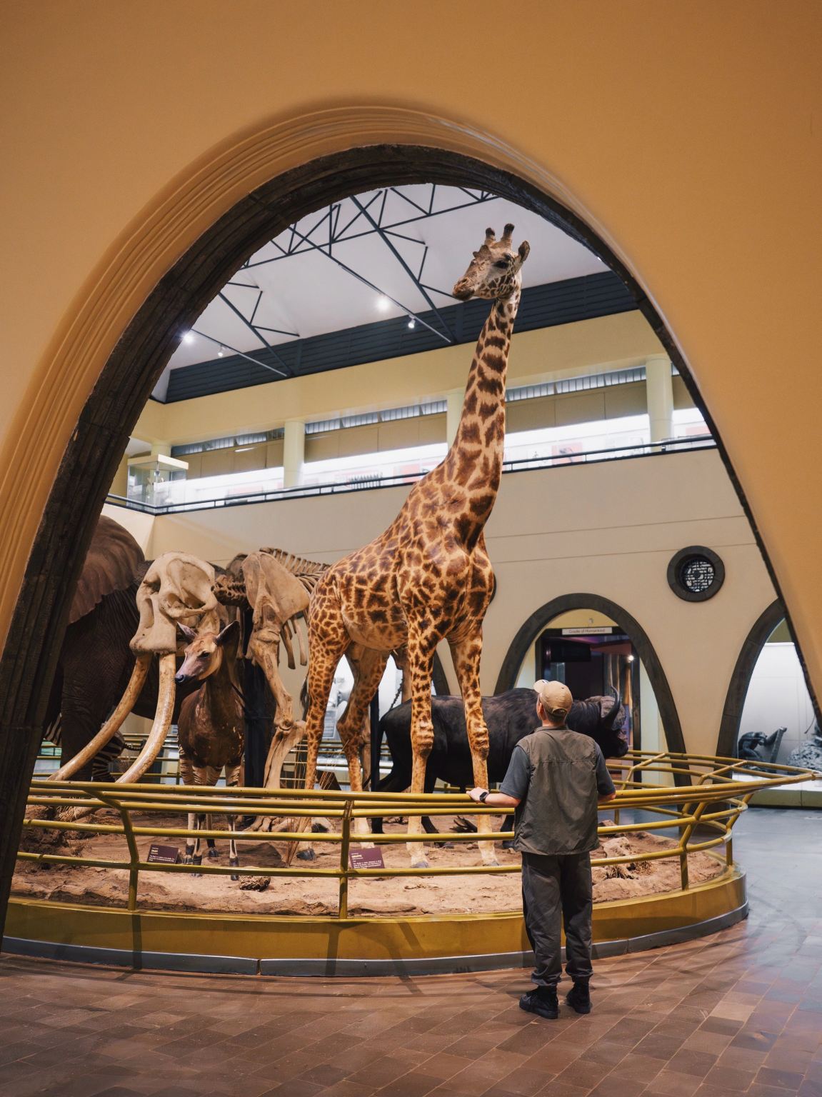 Найроби + Джирафф Сентр + приют для животных-сирот + Национальный музей