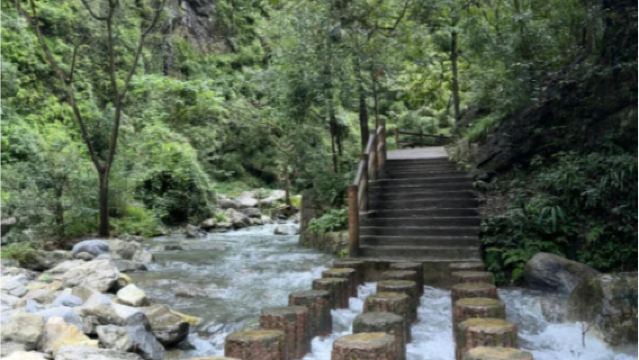 Tagesausflug nach Chongqing: Jinfo-Berg + Landschaftsgebiet Heishan-Tal + Shenlong-Wasserfall + Befreiungsdenkmal - Service in Chinesisch und Englisch verfügbar