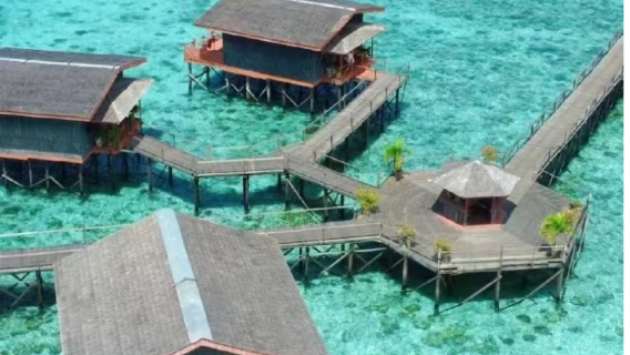 【ウミガメ養殖基地】ポンポン島パールリゾート 品質保証 信頼できる宿泊施設