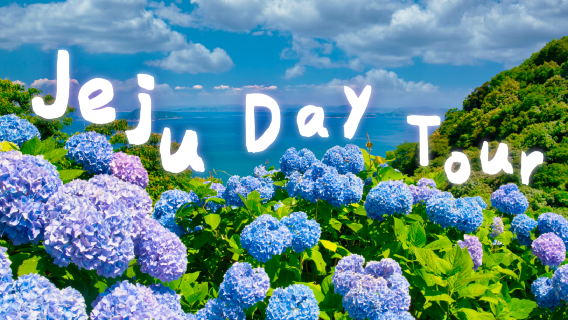 Jeju East Coast|Seongsan Ilchulbong X Seopjikoji X Haenyeo Museum X Snoopy Park