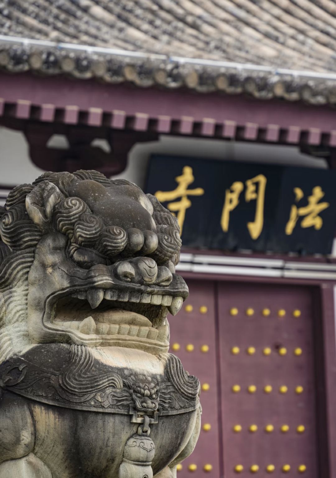 Famen Temple+Bronze Ware Museum Day Tour From Xi'an