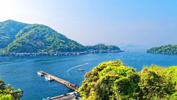 ทัวร์วันเดียว/ทัวร์หลายวัน[เรือชมทะเลให้อาหารนกนางนวล]