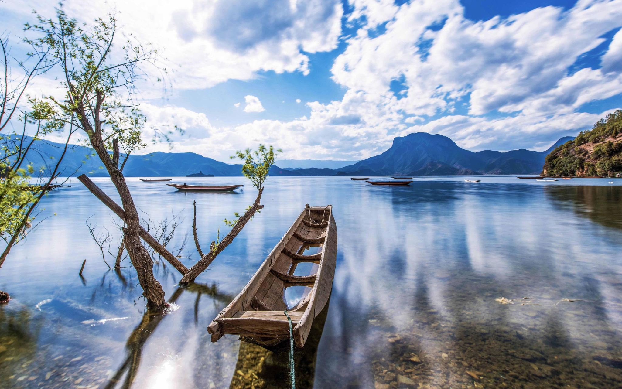 Servizio di guida turistica a Lijiang, Yunnan [prenotazione richiesta 3 giorni prima per cinese/inglese, multiple attrazioni a Lijiang, guida professionale certificata]