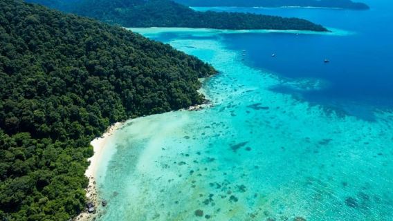 Phuket or Khao Lak: Surin Islands & Moken Village Day Trip