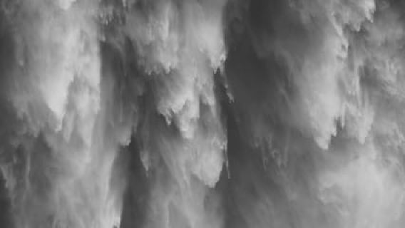Snoqualmie, Twin Falls und Ancient Forest (Transport inbegriffen)