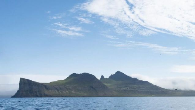 Ísafjörður: Hornstrandir Nature Reserve Guided Hike