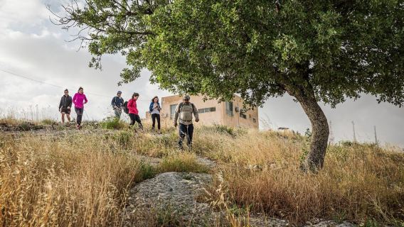 Destinations Baraka : Randonnée guidée à Umm Qais