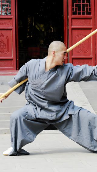 Luoyang Tour to Songshan Shaolin Scenic Including 2-Hour Kung Fu Lesson with Master