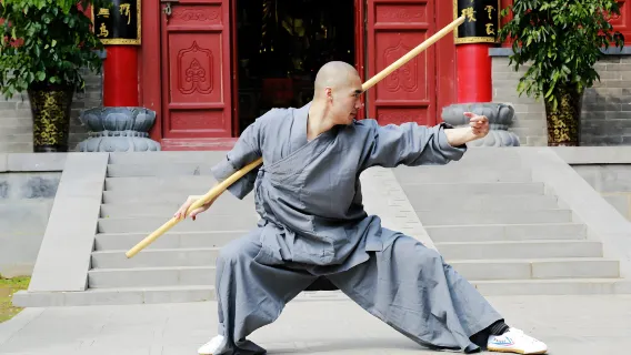 Luoyang Tour to Songshan Shaolin Scenic Including 2-Hour Kung Fu Lesson with Master