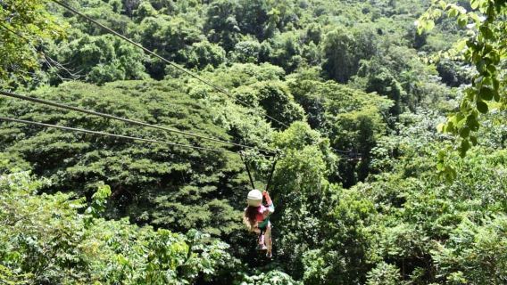 Puerto Plata/Vịnh Amber: Trượt Zipline và Thác nước kèm Bữa trưa