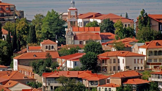 Tbilisi: Región de Kajetia, tour de Signaghi con 9 catas de vino