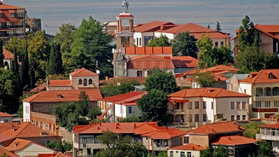 Tbilisi: Regione di Kakheti, tour di Signaghi con 9 degustazioni di vini