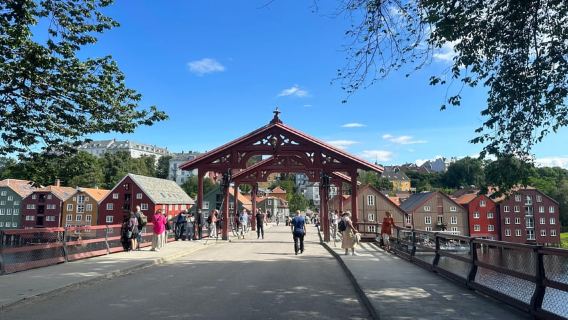 Trondheim: tour in autobus della città