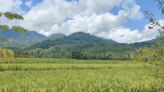 Borobudur: Taller de cerámica con artesanos expertos