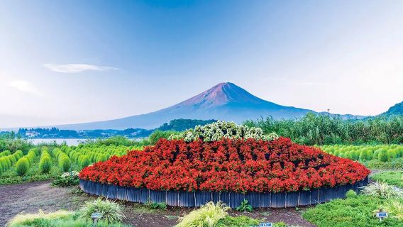 perjalanan satu hari Gunung Fuji : Danau Yamanaka, Oshino Hakkai, Danau Kawaguchiko, dan Taman Oishi