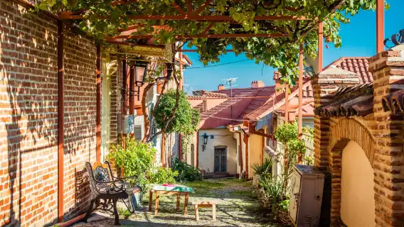 [จอร์เจีย] ซิกนากี + เมืองเก่าซิกนากี + ไร่องุ่น + ถังเก็บไวน์ใต้ดิน