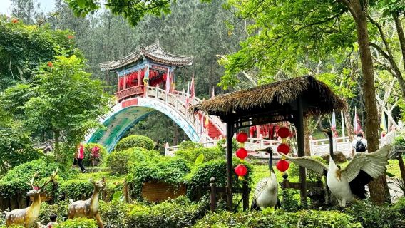 海口精品純玩一日跟團行程+火山口+電影公社+騎樓老街+午餐