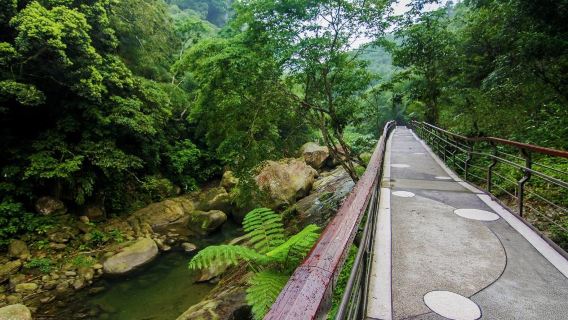 瀑布螢河鐵道美景奇幻行