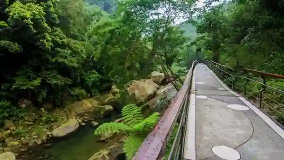 瀑布螢河鐵道美景奇幻行