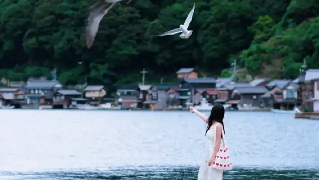 天橋立觀景地+伊根舟屋一日遊，大阪來回，贈送機場-酒店巴士票