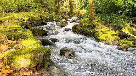 曼徹斯特來回：斯諾登山+史諾多尼亞10小時包車一日遊