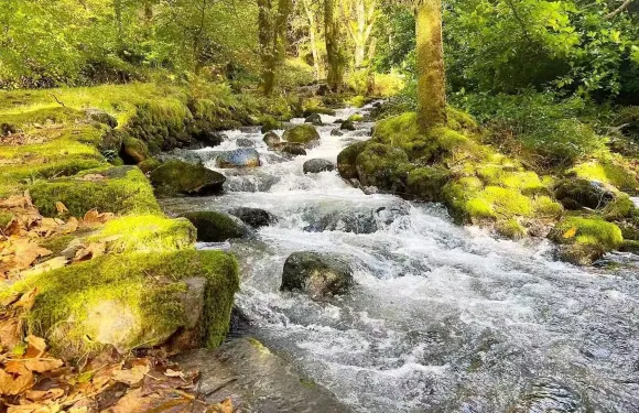 曼徹斯特來回：斯諾登山+史諾多尼亞10小時包車一日遊
