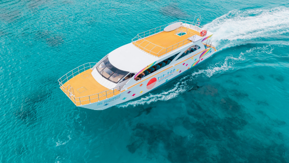 Excursion d'une journée à Phuket et aux Îles Phi Phi avec la baie de Maya et l'île de Honeymoon | Petit groupe privilégié | Possibilité de voir des dauphins à l'île de Honeymoon