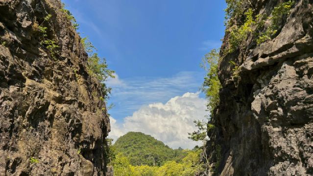 Langkawi Mangrove Tour Private Boat with Lunch