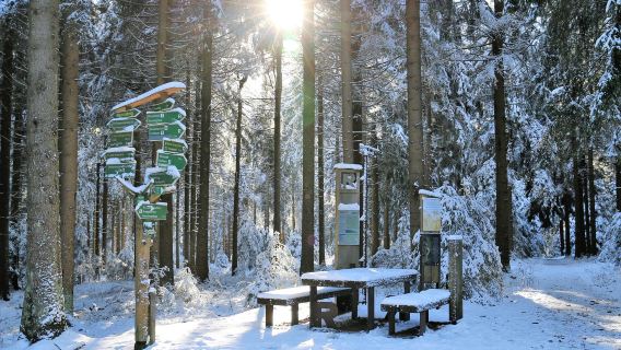 挪威卑爾根+松恩峽灣+艾於蘭峽灣｜峽灣全境【多/日遊可定制】