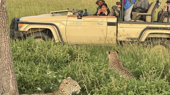 肯尼亞全境 專業翻譯|旅遊地陪|商務翻譯|展會翻譯|陪同拜訪