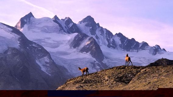 法國波爾多-男爵酒莊-龍船酒莊-力士金酒莊【酒莊包車一日遊】