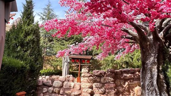 黎城壺山溫泉一日