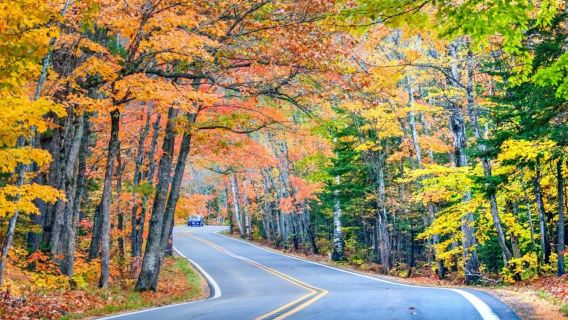 Big Cypress: Selbstgeführte Autotour