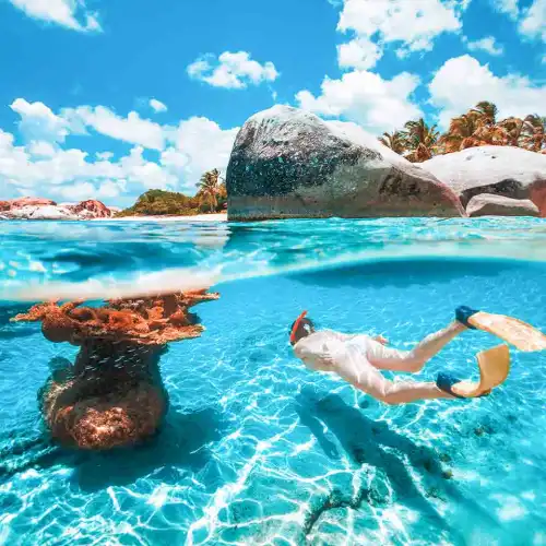 プーケット発｜ピピ諸島＋マヤ湾＋ピピレイ島 日帰りツアー