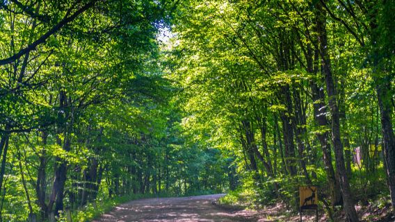 亞美尼亞蒂利金｜旅遊陪同翻譯｜ 展會｜ 商務考察洽談｜ 自由行地接｜接機 （可私人定制）