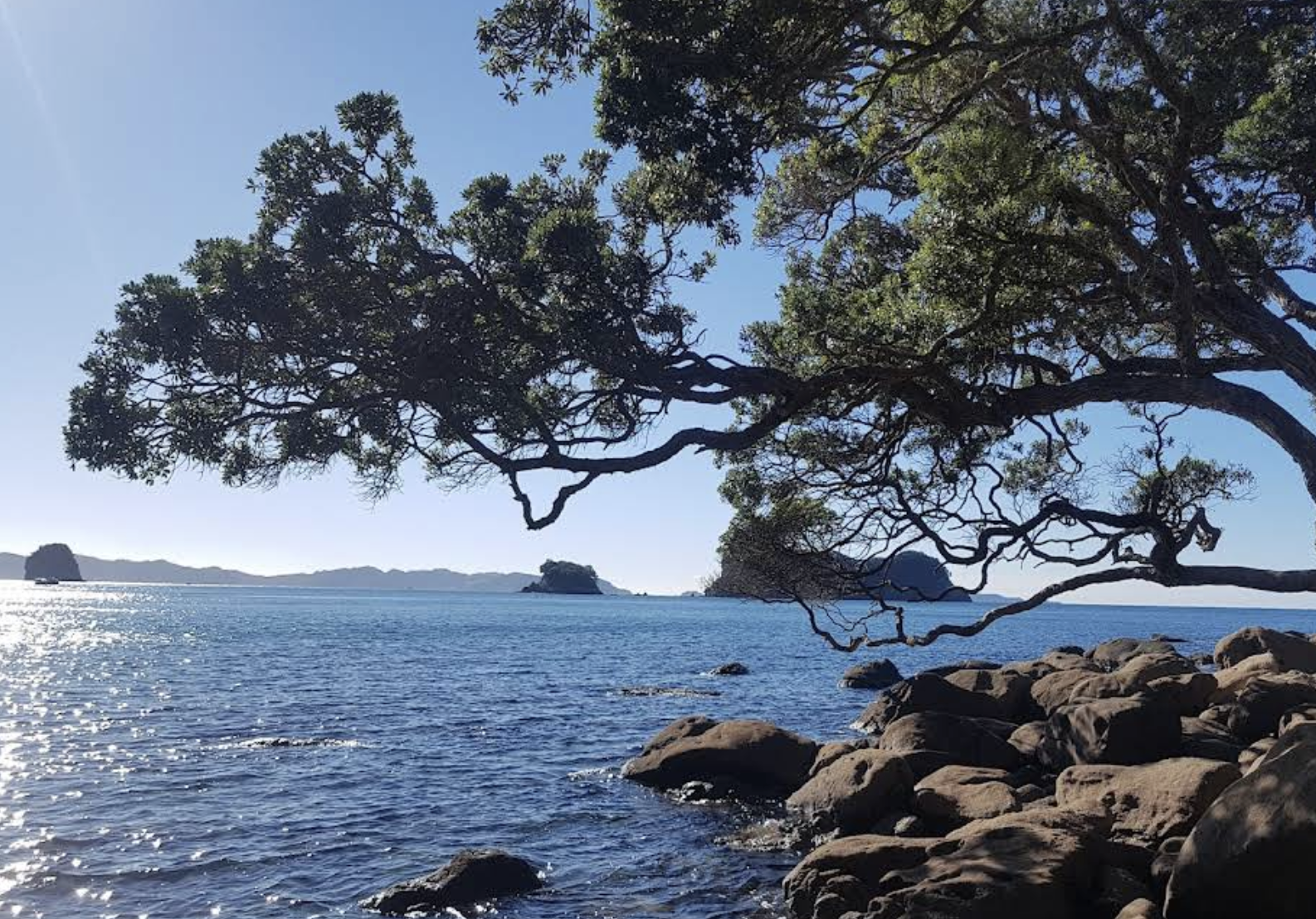 紐西蘭奧克蘭-派希亞-凱里凱里-可訂製【中文專車-愜意舒適】