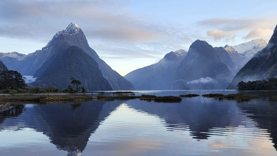 紐西蘭皇后鎮-但尼丁+奧馬魯藍眼企鵝【中文專車-愜意舒適】