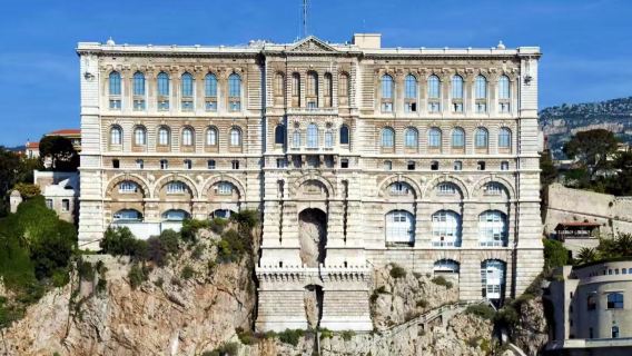 gecharterde autovervoer tour door Monte Carlo + Oceanografisch Museum + Operahuis + Botanische Tuin van Eze + Walk of Fame