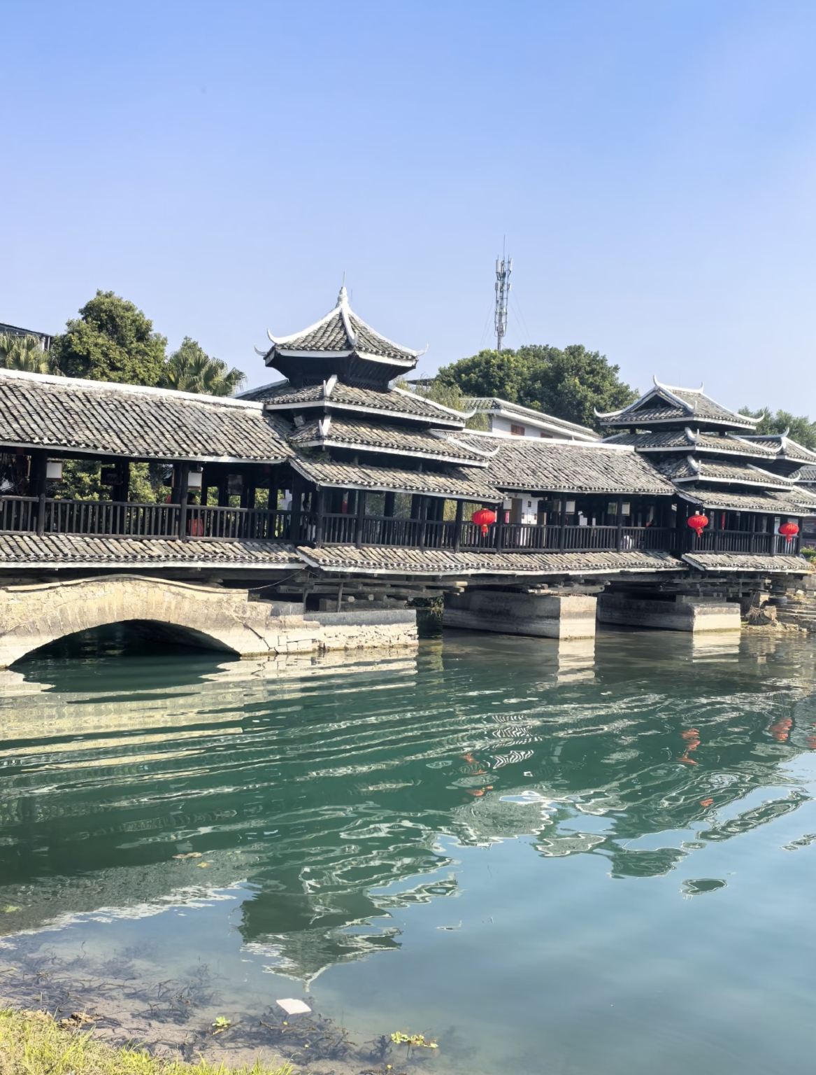 Tour Giornaliero alla Zattera di Bambù del Fiume Yulong, Grotta d'Argento e Terra dei Fiori di Pesco - Ritiro a Guilin/Yangshuo