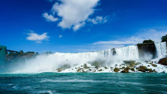 Excursión de un día a las Cataratas del Niágara EE. UU. y Canadá desde Búfalo hasta Toronto