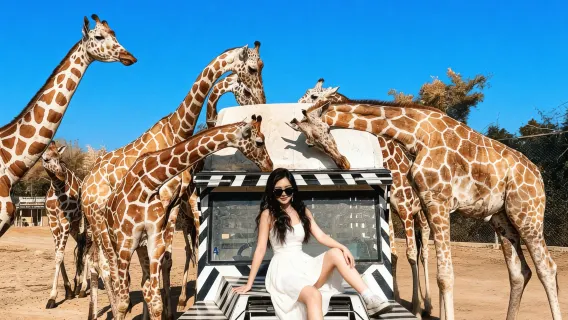 [Mulighed for at tage billeder med giraffer] Dagsudflugt til Kanchanaburi Zoo med transport | Dødsjernbanen + River Kwai-broen