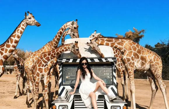 【可約長頸鹿拍照】北碧動物園專車一日遊|死亡鐵路+桂河大橋