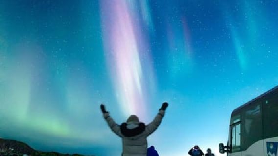 From Reykjavik: Northern Lights Chase with Expert Guide