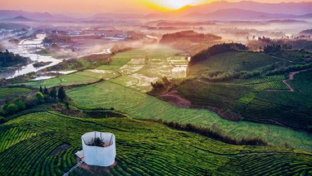 Jingdezhen Höhepunkte Tagesausflug: Von alten Brennöfen zu moderner Kunst [Ticket + privater Wagen]
