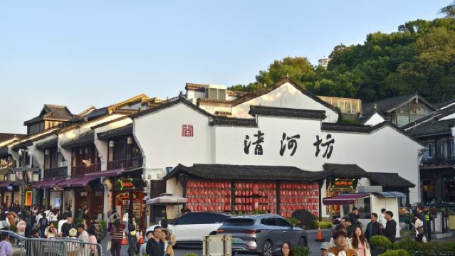 Magical Ancient Chinese Medicine + Hefang Street and Southern Song Imperial Street Ancient Alley Citywalk Half-Day Tour