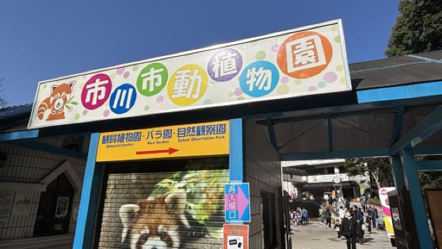 [Tokyo Punch Cute Monkeys 9-Person Group] Seafood Market/Zoo/Asakusa Sumida River Cherry Blossoms