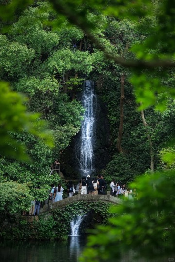 杭州九溪徒步半日遊【九溪十八澗畫扇+品龍井茶+十八棵御茶園】