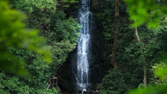 Hangzhou Nine Creeks and Eighteen Gullies Half-Day Tour [Hand-painted Fan at Nine Creeks and Eighteen Gullies + Longjing Tea Tasting + Royal 18 Tea Trees Garden]